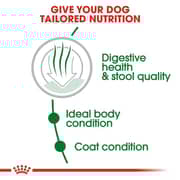 Royal Canin Nutrition Dry Food For Adult Mini Indoor Dog 1.5kg - 2017226322572