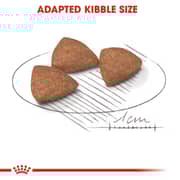 Royal Canin Nutrition Dry Food For Adult Mini Indoor Dog 1.5kg - 2017226322572