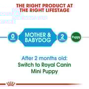 Royal Canin Nutrition Mini Starter Dry Food For Mother & Baby Dog 1kg - 2017230951424
