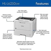 Brother Mono Laser Printer - HL-L6210DW
