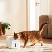 Xiaomi Smart Pet Fountain 2 - MJCWYSJ03