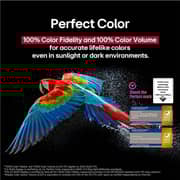 LG 97 Inch World’s first True Wireless TV OLED evo M5 4K 120Hz Smart TV AI Magic Remote Dolby Vision webOS25 - OLED97M56LA-AMA (2025 Model)