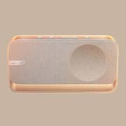 Bose Soundlink Home Bluetooth Speaker 30.5cm Light Silver - 892399-0010