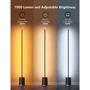 Govee Lyra Corner Floor Lamp