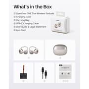 Shokz Opendots One Wireless Earbuds Grey