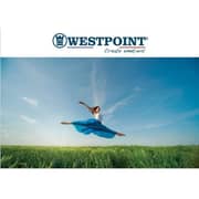 Westpoint 1.0 Ton Split Air Conditioner with Rotary Compressor, 12000 Btu, I FEEL function,WSN-1223LTYH