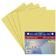 Atlas A4 Book Cover Bristol Yellow
