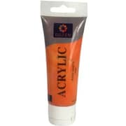 Acrylic Dozen Orange Color