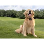 DJI Osmo Nano Black Action Camera - ON001