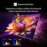 Toshiba 55inch M450RP Series 4K UHD QLED Smart Television (2025 Model) - 55M450RP