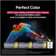 LG 97inch Evo AI OLED Smart Television (2025 Model) - OLED97G56LA-AMA