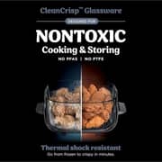 Ninja CRISPi Portable Glass Air Fryer - FN101MEGY