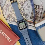 Casio Men & Women's Watch - LF-30W-2ADF