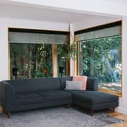 Bluesound Pulse M Music Streaming Speaker Black