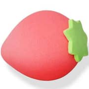 Pritty NonLatex Shape Makeup Sponges