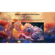 Hisense 98inch Q6Q 4K QLED Smart Television (2025 Model) - 98Q6Q