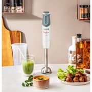 Moulinex Hand Blender - DD6411EG