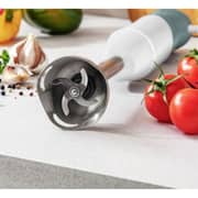 Moulinex Hand Blender - DD6411EG
