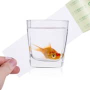 Deli Strong Adhesive Transfer Packing Tape - 634653