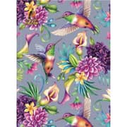 Falcon Flexi 4 Line Notebook Hummingbird - OX 52050