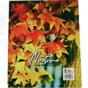 Falcon Nature Study Book Autumn