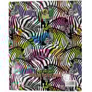 Falcon Nature Study Book Zeebra