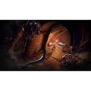 PS5 Elden Ring Nightreign Game