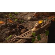 PS5 Empire Of The Ants Limited Edition Game