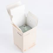 Otantik Joar Light Green And Silver Large Scented Candle - Et2689