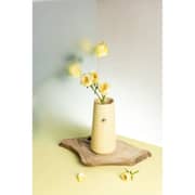 Otantik Rosette Ivory Small Flower Vase - Et2211
