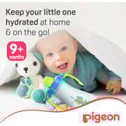 Pigeon Tall Straw Bottle Blue