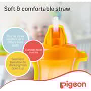 Pigeon Petite Straw Bottle Orange