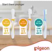 Pigeon Training Toothbrush Set