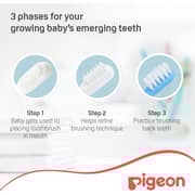 Pigeon Training Toothbrush Set