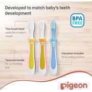 Pigeon Training Toothbrush Set