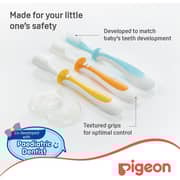Pigeon Training Toothbrush Set