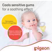 Pigeon Triangle Cooling Teether