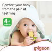 Pigeon Star Coolling Teether