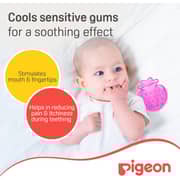 Pigeon Star Coolling Teether