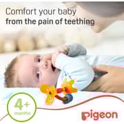 Pigeon Step 1 Training Teether