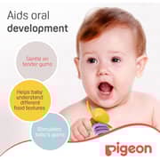 Pigeon Step 1 Training Teether