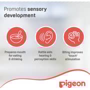 Pigeon Step 1 Training Teether