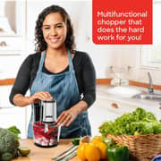 Sanford SF5580FC BS 6 In 1 Food Chopper