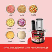 Sanford SF5580FC BS 6 In 1 Food Chopper