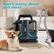 Winning Star Carpet Spot Cleaner Black - ST-4606