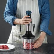 Winning Star 4-In-1 Hand Blender - ST-5510