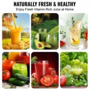 Winning Star Juicer - ST-5594