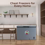 SPJ Single Door Chest Freezer 300L Grey - POSH-SLW395C