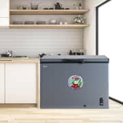 SPJ Single Door Chest Freezer 300L Grey - POSH-SLW395C
