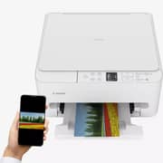 Canon Pixma Wireless Colour 3-in-1 Inkjet Photo Printer - TS6540i